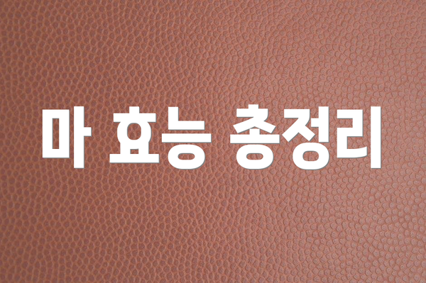 마 효능 총정리