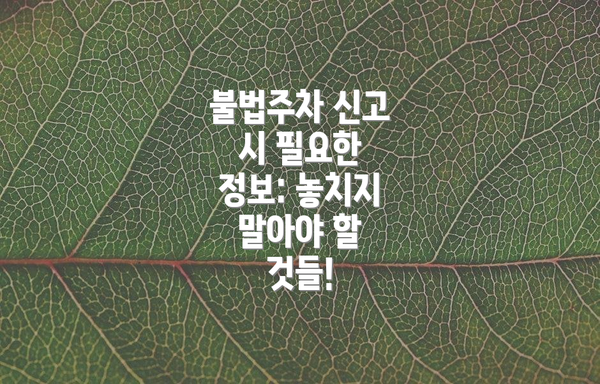 불법주차 신고 시 필요한 정보: 놓치지 말아야 할 것들!