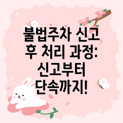 불법주차 신고 후 처리 과정: 신고부터 단속까지!