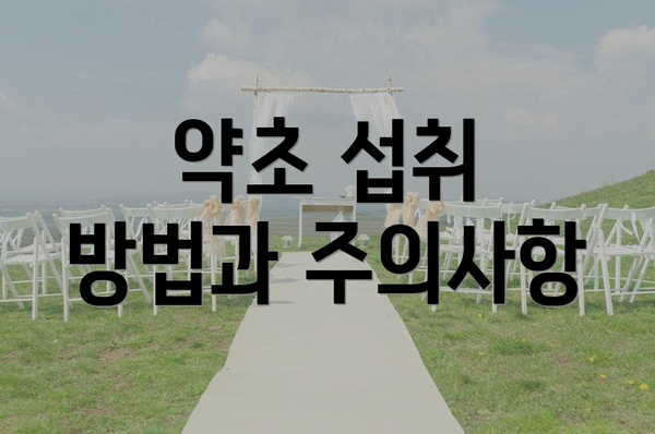 약초 섭취 방법과 주의사항