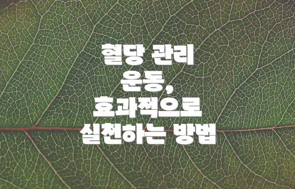 혈당 관리 운동, 효과적으로 실천하는 방법