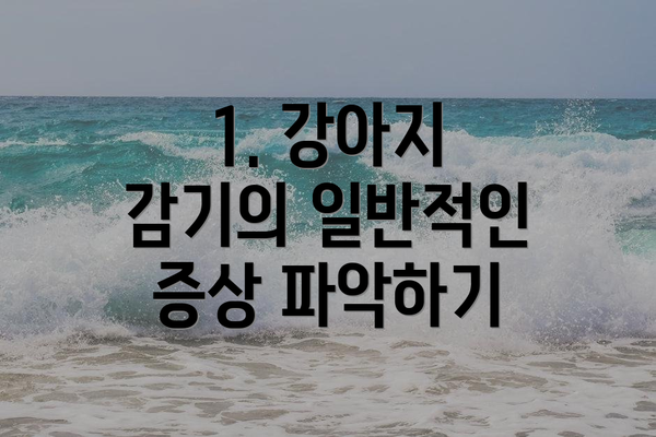 1. 강아지 감기의 일반적인 증상 파악하기