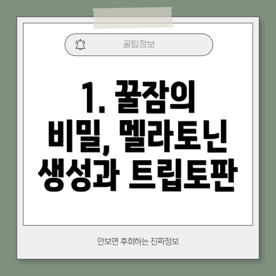 1. 꿀잠의 비밀, 멜라토닌 생성과 트립토판