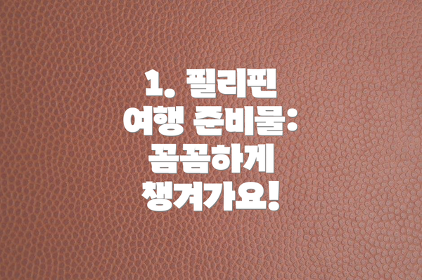 1. 필리핀 여행 준비물: 꼼꼼하게 챙겨가요!