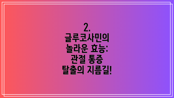 2. 글루코사민의 놀라운 효능: 관절 통증 탈출의 지름길!