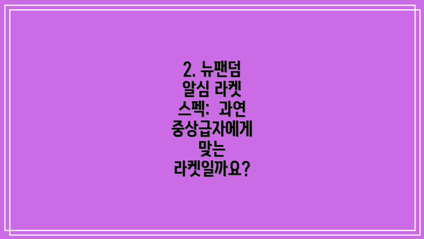 2. 뉴팬덤 알심 라켓 스펙:  과연 중상급자에게 맞는 라켓일까요?