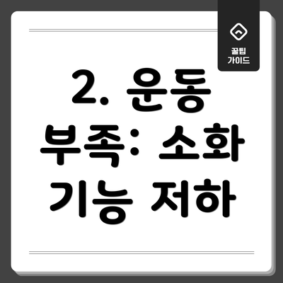 2. 운동 부족: 소화 기능 저하