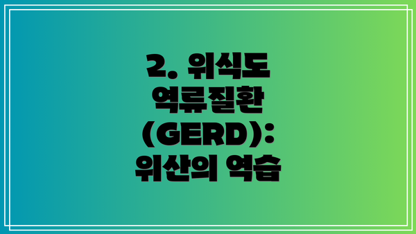 2. 위식도 역류질환 (GERD): 위산의 역습