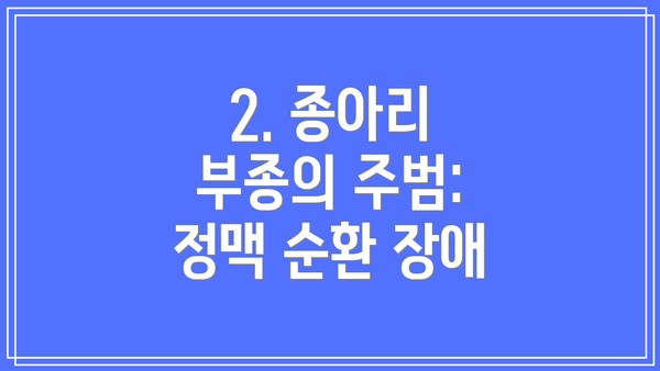 2. 종아리 부종의 주범: 정맥 순환 장애