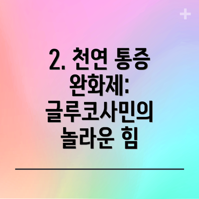 2. 천연 통증 완화제: 글루코사민의 놀라운 힘