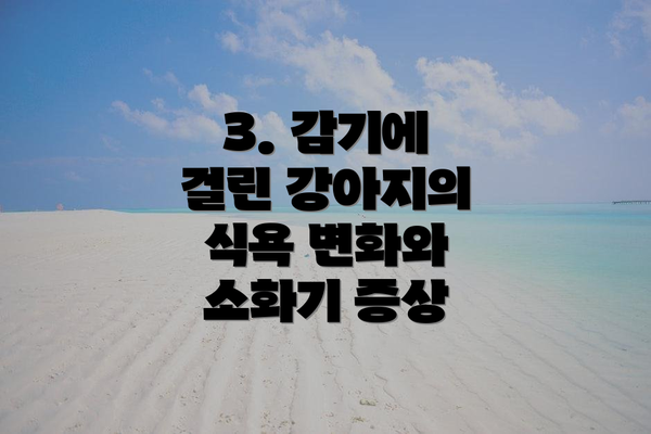 3. 감기에 걸린 강아지의 식욕 변화와 소화기 증상