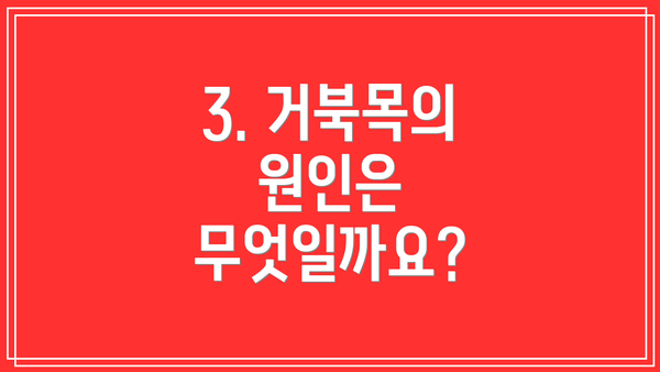 3. 거북목의 원인은 무엇일까요?