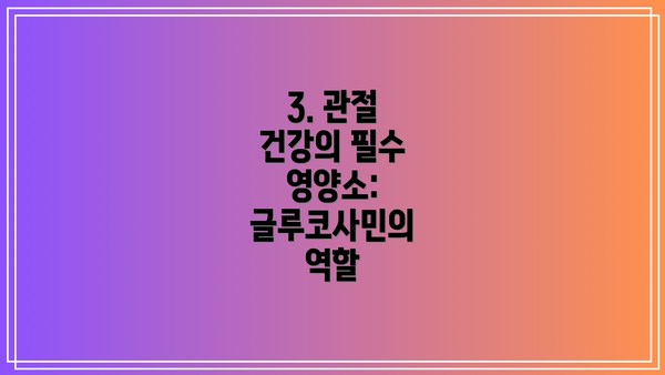 3. 관절 건강의 필수 영양소: 글루코사민의 역할