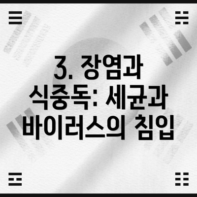 3. 장염과 식중독: 세균과 바이러스의 침입