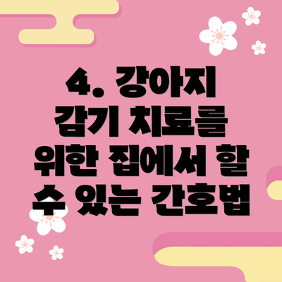 4. 강아지 감기 치료를 위한 집에서 할 수 있는 간호법