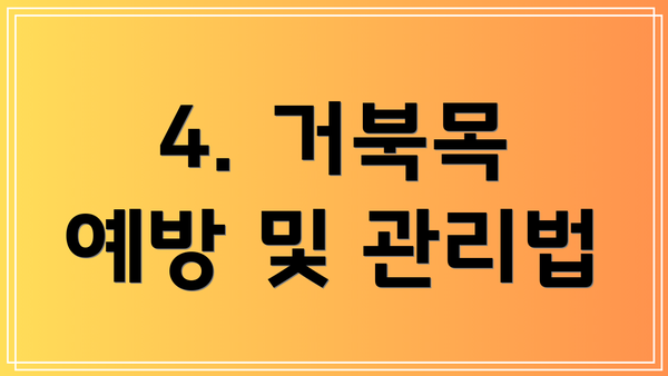 4. 거북목 예방 및 관리법