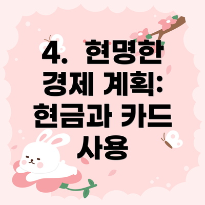 4.  현명한 경제 계획: 현금과 카드 사용