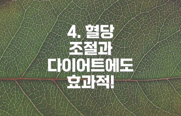 4. 혈당 조절과 다이어트에도 효과적!