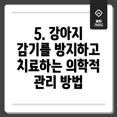 5. 강아지 감기를 방지하고 치료하는 의학적 관리 방법