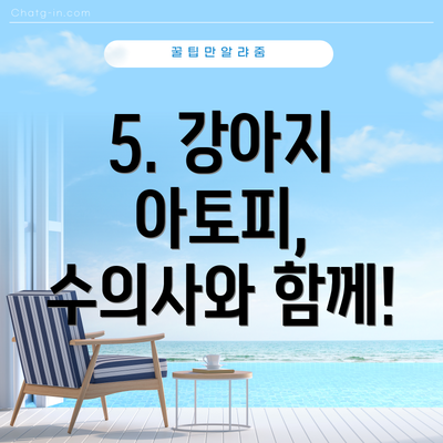 5. 강아지 아토피, 수의사와 함께!
