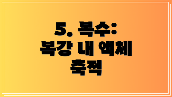 5. 복수: 복강 내 액체 축적