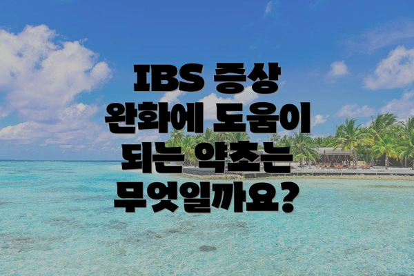 IBS 증상 완화에 도움이 되는 약초는 무엇일까요?