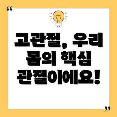 고관절, 우리 몸의 핵심 관절이에요!