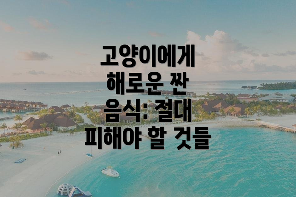 고양이에게 해로운 짠 음식: 절대 피해야 할 것들