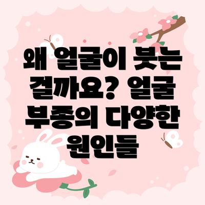 왜 얼굴이 붓는 걸까요? 얼굴 부종의 다양한 원인들