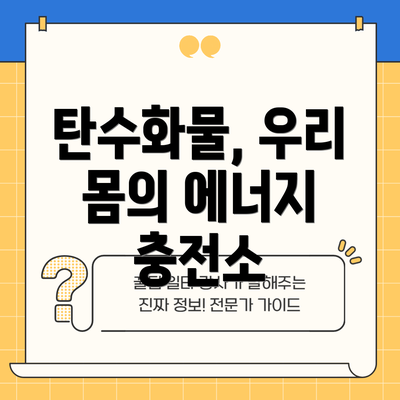 탄수화물, 우리 몸의 에너지 충전소