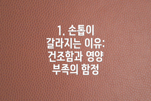1. 손톱이 갈라지는 이유: 건조함과 영양 부족의 함정