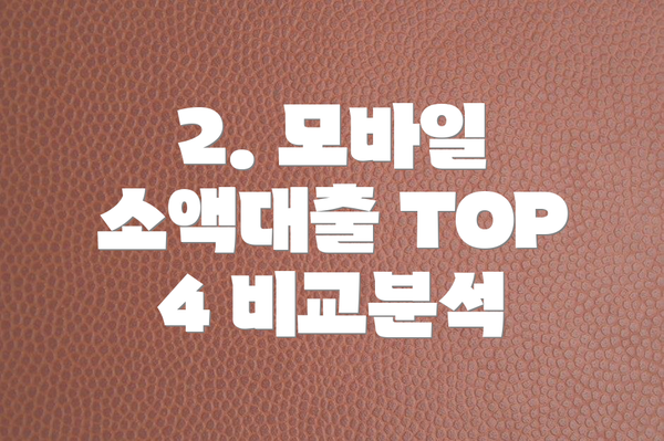 2. 모바일 소액대출 TOP 4 비교분석