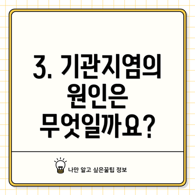 3. 기관지염의 원인은 무엇일까요?