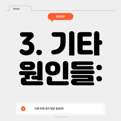 3. 기타 원인들: