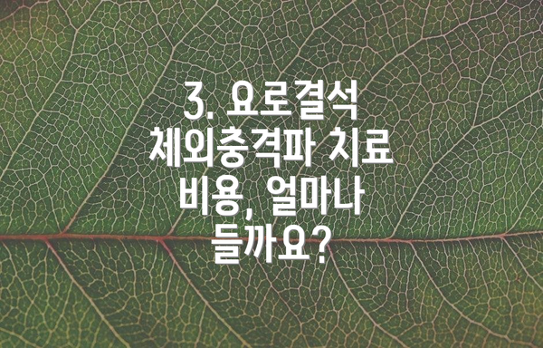 3. 요로결석 체외충격파 치료 비용, 얼마나 들까요?
