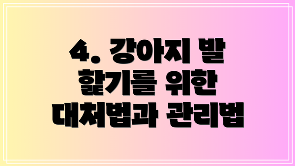 4. 강아지 발 핥기를 위한 대처법과 관리법