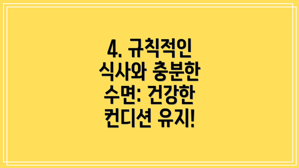 4. 규칙적인 식사와 충분한 수면: 건강한 컨디션 유지!