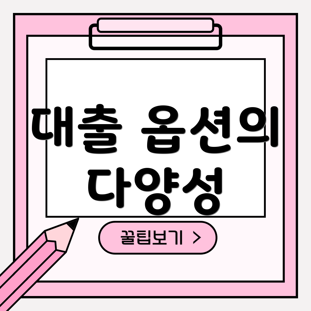 대출 옵션의 다양성
