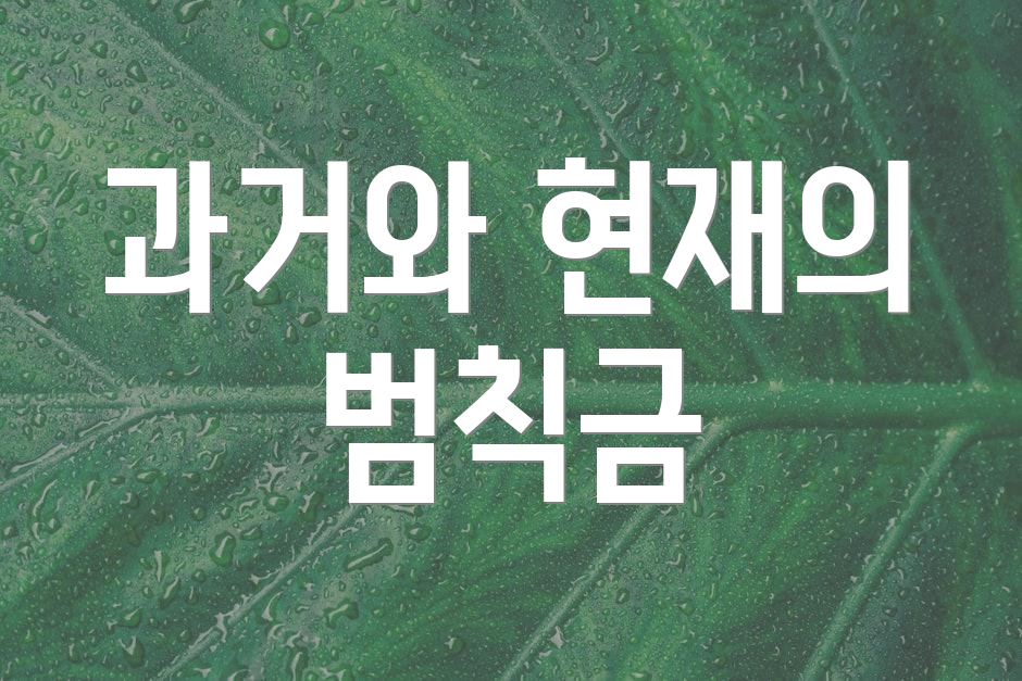 과거와 현재의 범칙금