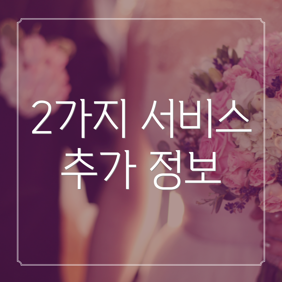 2가지 서비스 추가 정보