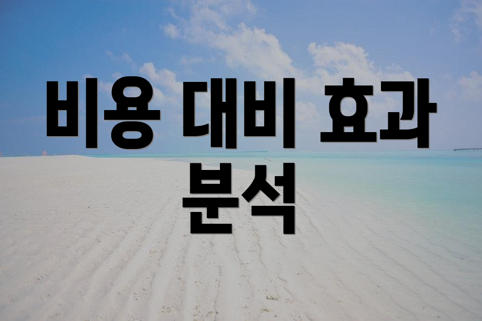 비용 대비 효과 분석