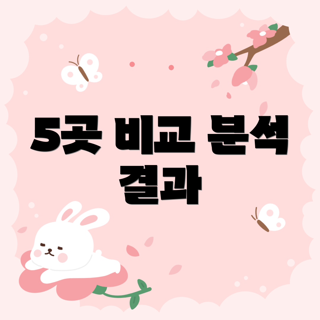 5곳 비교 분석 결과