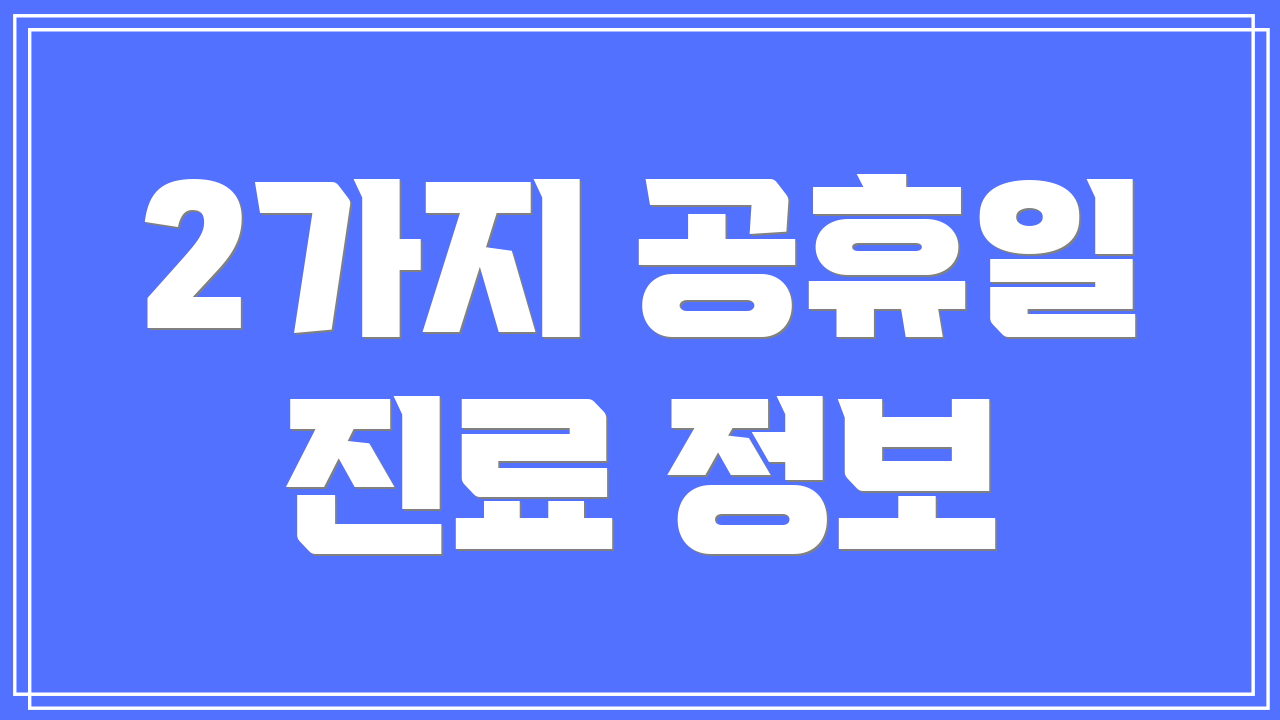 2가지 공휴일 진료 정보