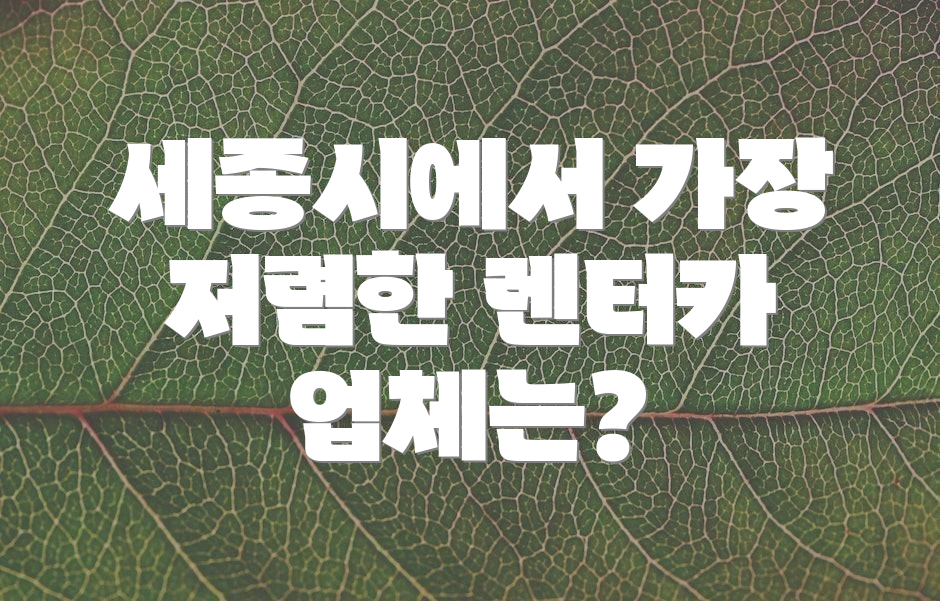 세종시에서 가장 저렴한 렌터카 업체는?