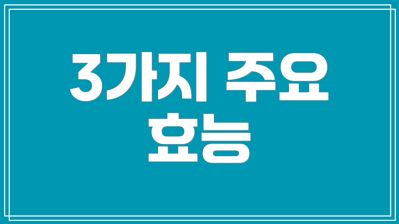 3가지 주요 효능