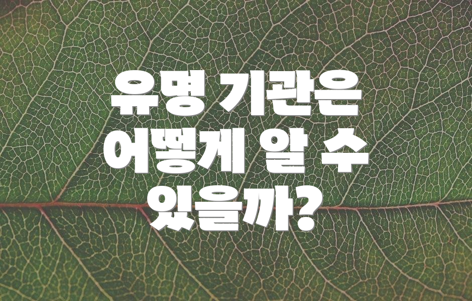 유명 기관은 어떻게 알 수 있을까?