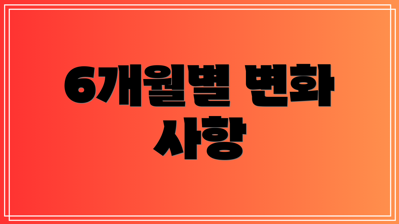 6개월별 변화 사항