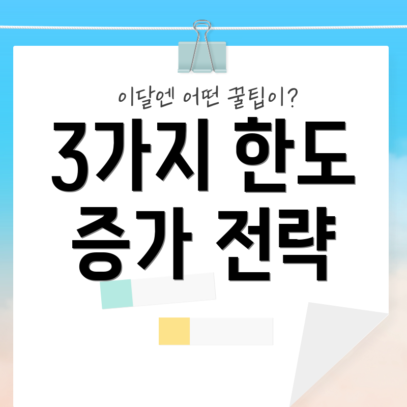 3가지 한도 증가 전략