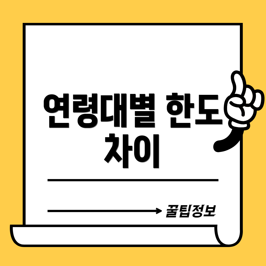 연령대별 한도 차이
