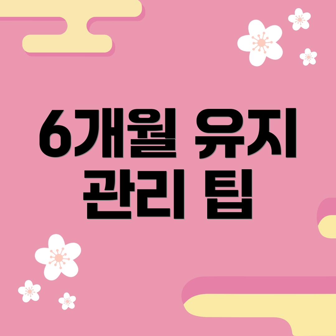 6개월 유지 관리 팁
